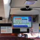 제주시청(광양방면) (광양사거리/터미널방면) 이미지