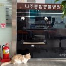 나주종합동물병원 이미지