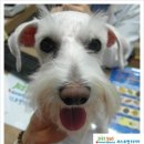 저스트벳 동물병원 이미지
