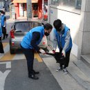 서일대학교 이미지