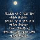 사랑한다면