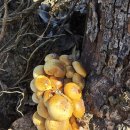 12월 10일(수) / 행복한 하루되세요! 이미지