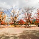 일산호수공원 농구장