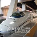 켈리포니아 민박 이미지