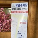 한가족족발보쌈 | 문래 맛집 # 야들야들한 보쌈고기 정갈한 한식 각시보쌈 문래점! 아이와 가볼만한 식당 내돈내산