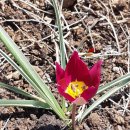 원종농장 이미지