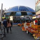 탐진한우 이미지