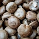 박준호농장 이미지