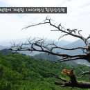 문경 황장산으로 이미지