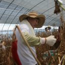 재오농장 이미지