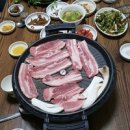안골토종닭 이미지