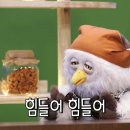 딩동댕 이미지