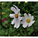 하추리산촌마을 이미지