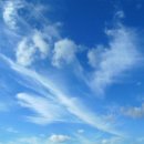 푸르른날 이미지