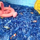 아이신나어린이집 이미지