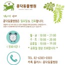 콩닥 동물병원 이미지