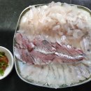 선상 숙박 및 낚시 체험 네이버블로그