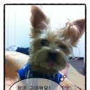슈퍼마켓맘 이미지