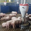 (주)에코팜 이미지