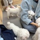 라이크멍 이미지