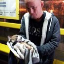 나라동물병원 이미지