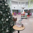 포은중앙도서관 이미지