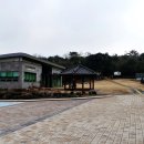 선흘그곶 | [생태여행] 제주 생태계의 곳간, 선흘곶자왈 동백동산