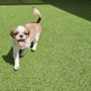 월드유치원 이미지