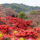 칠봉목장 이미지