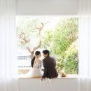 루브스튜디오