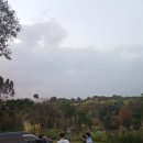 포레스트힐어학원 이미지