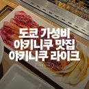 Like(라이크)호텔 | 도쿄 가성비 야키니쿠 맛집 추천 '야키니쿠 라이크 아사쿠사점'