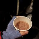 오로라가든 | 캐나다 옐로나이프 오로라헌팅 #헬로오로라 추천 후기