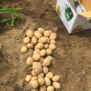 대장나무숲놀이터 이미지