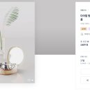 디자인팩트