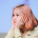 에드스윗 이미지