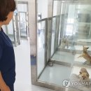 마루동물병원 이미지