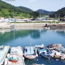 사금식당 이미지