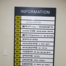 성애내과의원 이미지