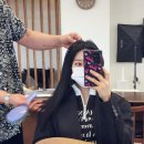 모모브릿지 이미지