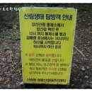 곰배령올레 | 강원도여행 강원도곰배령여행 강원도곰배령탐방길 곰배령탐방로추천 점봉산 탐방로