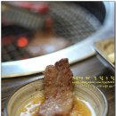 안계사료