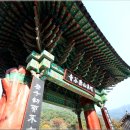 신석 1 신석1구경로당 | 국보 2점, 보물 4점이 있는 구례 지리산 鷰谷寺연곡사... 131026..