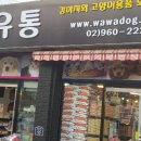 와와유통 이미지