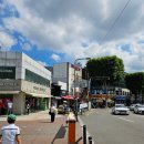 도매당약국 이미지