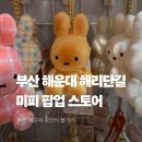 신라오피스;신라문구 | 부산 해운대 미피와 친구들 팝업스토어 구경하기