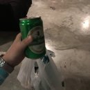 [후기] 세부 고래상어/캐녀닝 투어2017.04