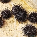 삼척민박 이미지