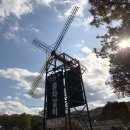 풍차갈비 이미지