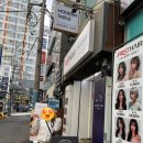 카페모던 | [카페 추천] 부산 서면 카페 ‘모던테이블’ / 내돈내산 후기